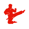 Teen Martial Arts Icon