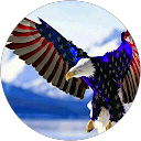 Krishna S profile picture